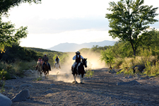 USA-Arizona-Guest Ranch near Tombstone